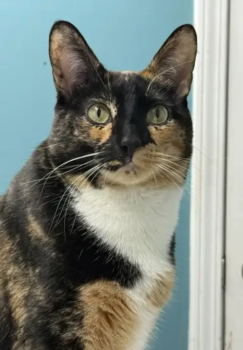 Louise