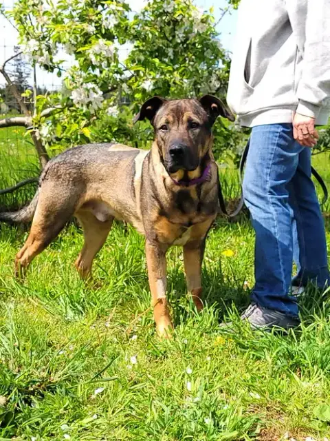 Max photo 3