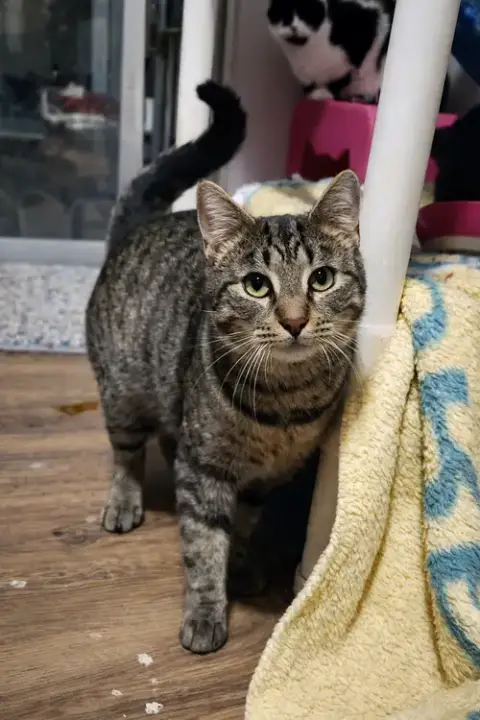 Zeus photo 2