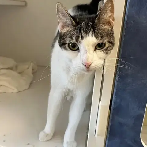 Mia