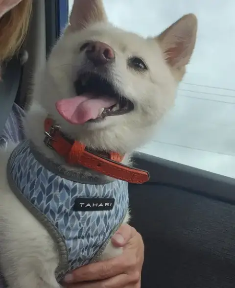 Polar