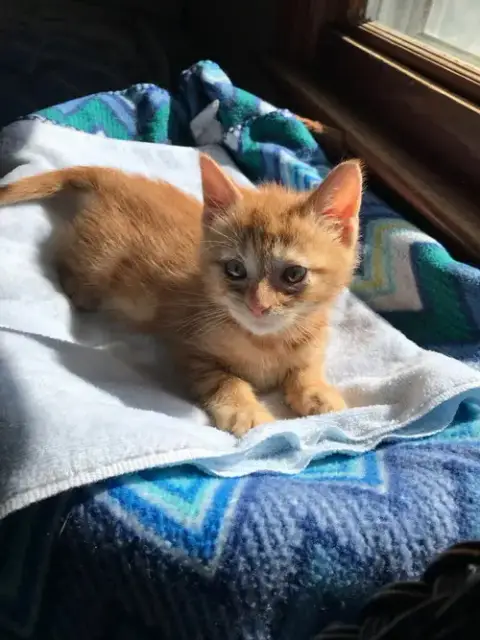 Butters photo 3