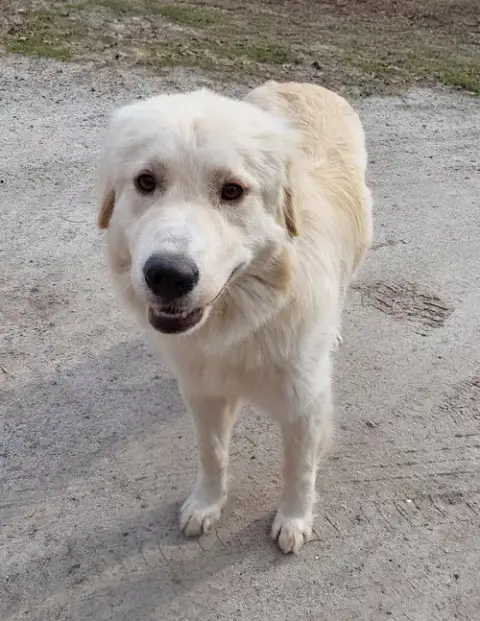Carly photo 4