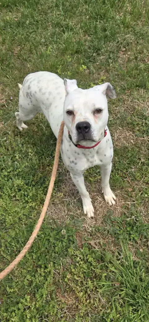 Luna: Not At Shelter