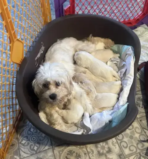 Momma Mimi photo 3