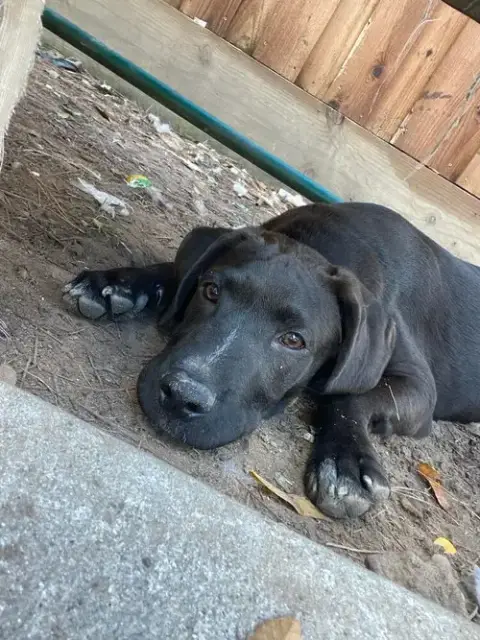 Jack Jack photo 3