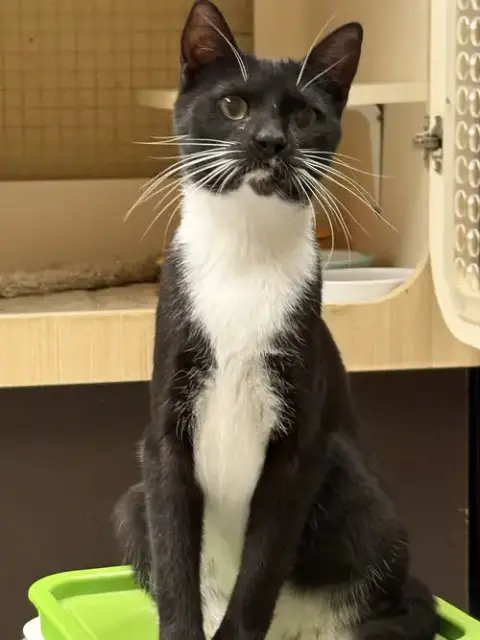 Ha'Lia Napa Petco photo 2