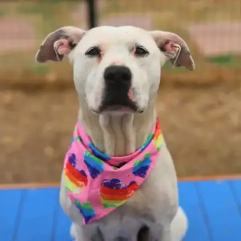 Betty