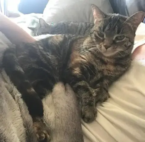 Miera And Maddox-Petsmart Plantation Foster Home photo 3