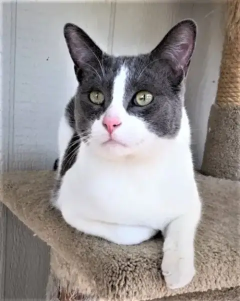 Ben
