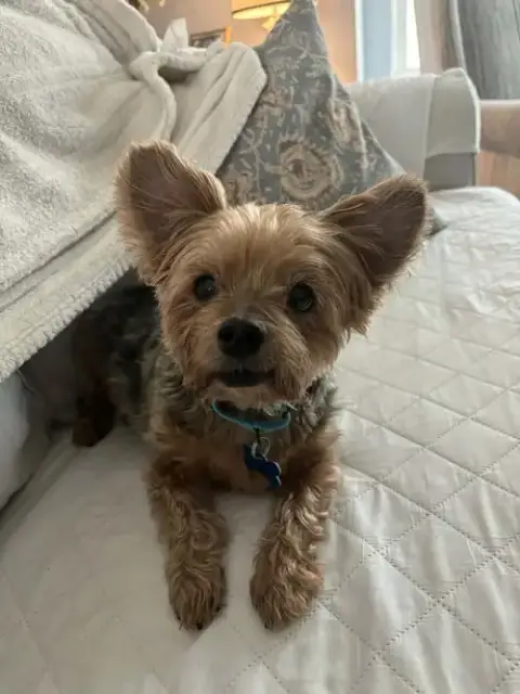 Jake