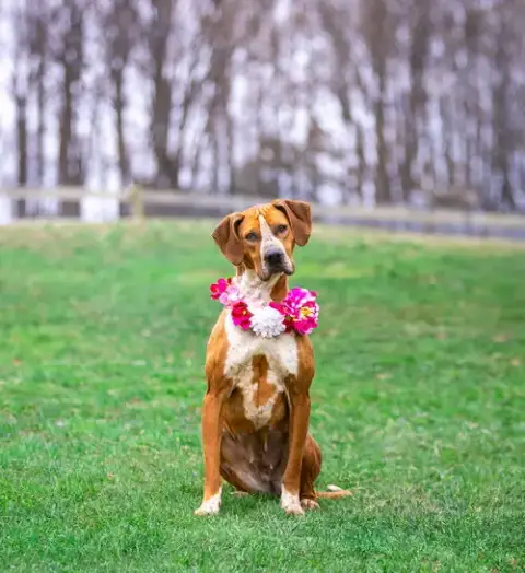 Addie photo 4