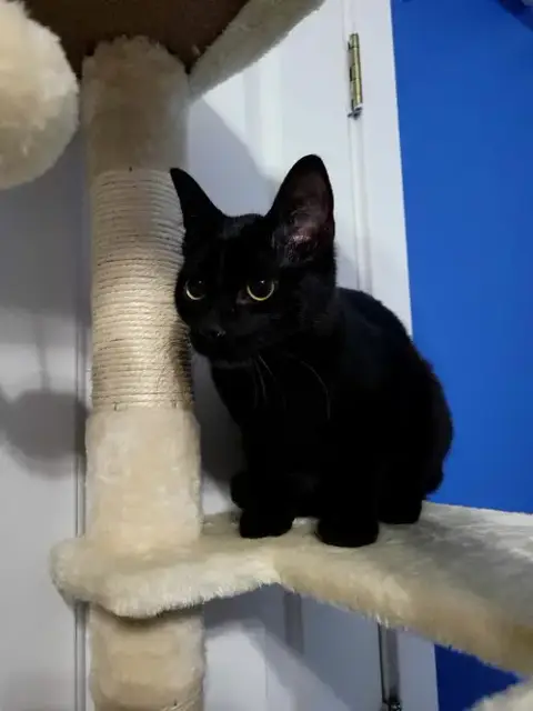Salem photo 5