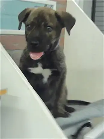 Buster