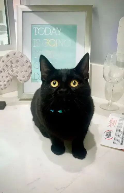 Prince
