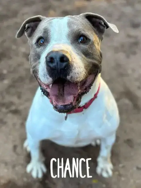 Chance photo 3