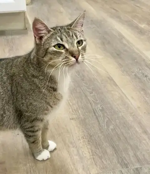 Janie