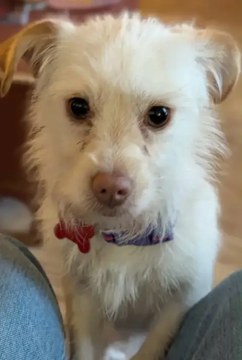 Millie photo 3