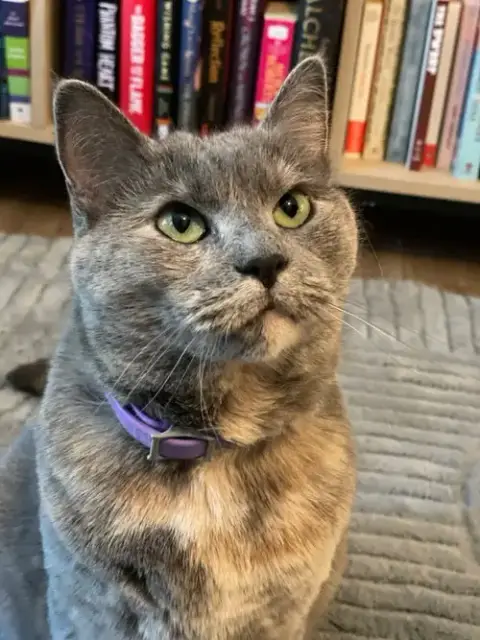 Sweet Pea
