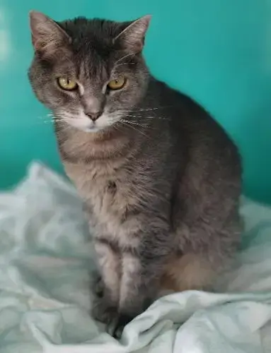 Andie Center Foster