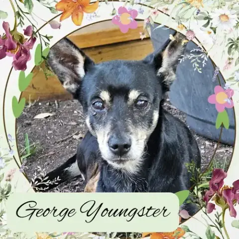 George Youngster