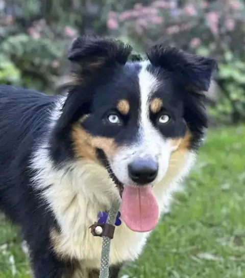 Kiki photo 3