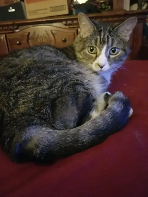 Sweetie photo 2