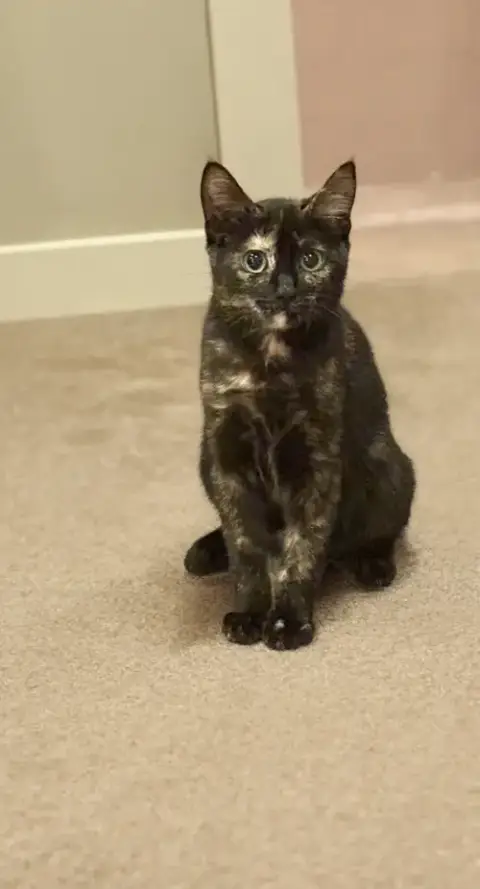 Ella