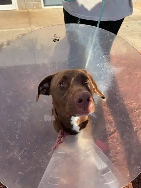 Kona photo 2