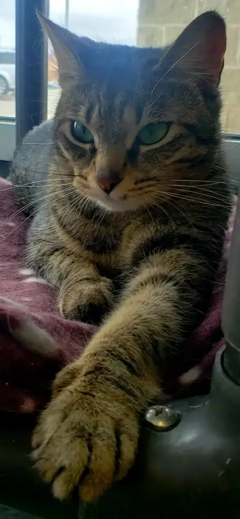 Kiki photo 3