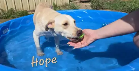 Hope photo 3