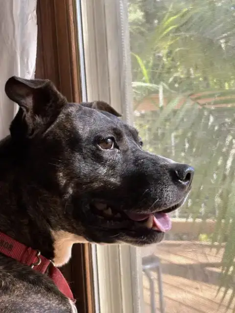 Gigi photo 3