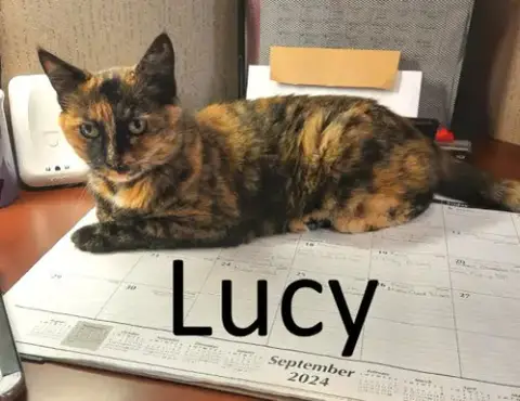 Lucy photo 2
