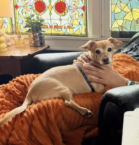 Milo photo 2
