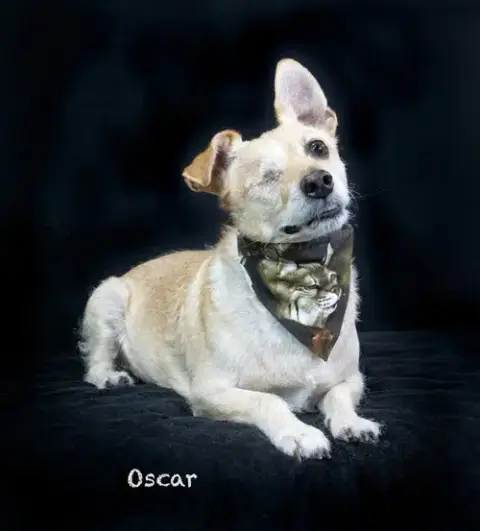 Oscar photo 3