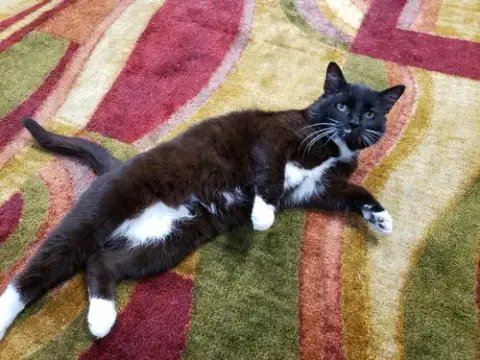 Sinatra photo 2