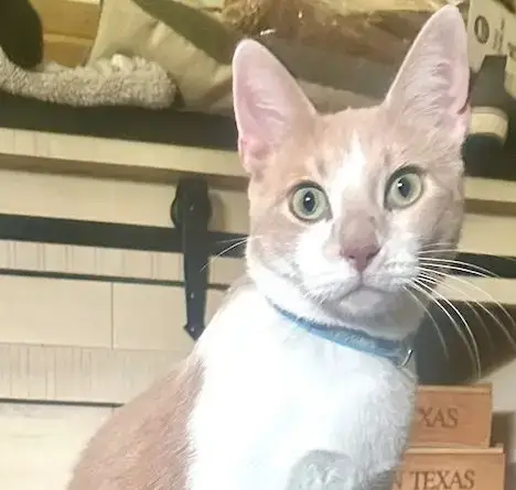 Ember #Brother-Of-Coal photo 2