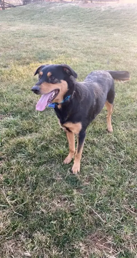Cooper