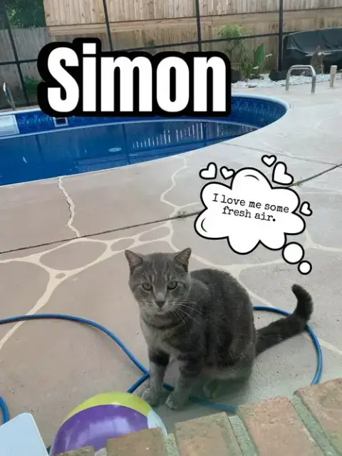 Simon photo 2