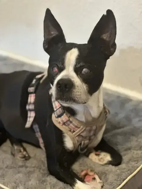 Charlie