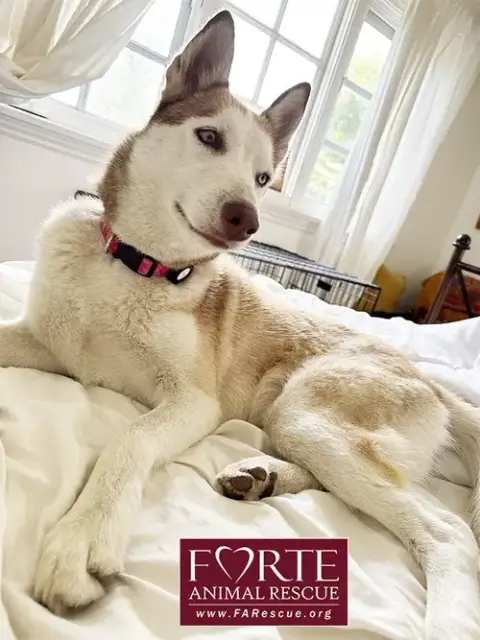 Mabel photo 4