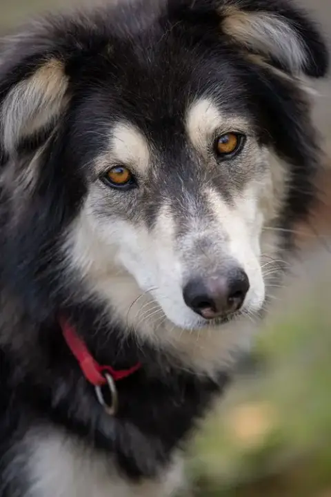 Yukon photo 2