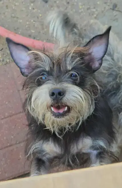 Betty Jean In Tx photo 3