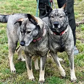 Freida And Dallen photo 2