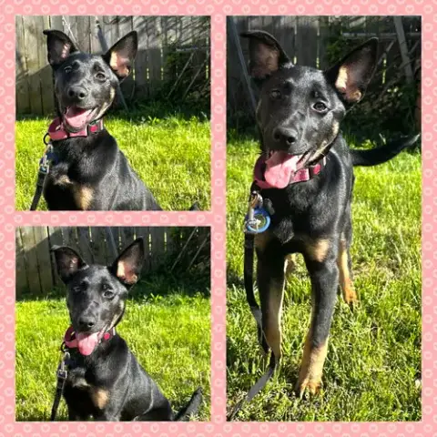 Lola photo 2