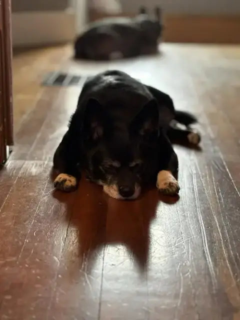 Grace photo 2