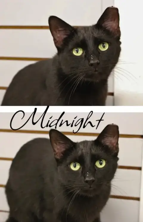 Midnight