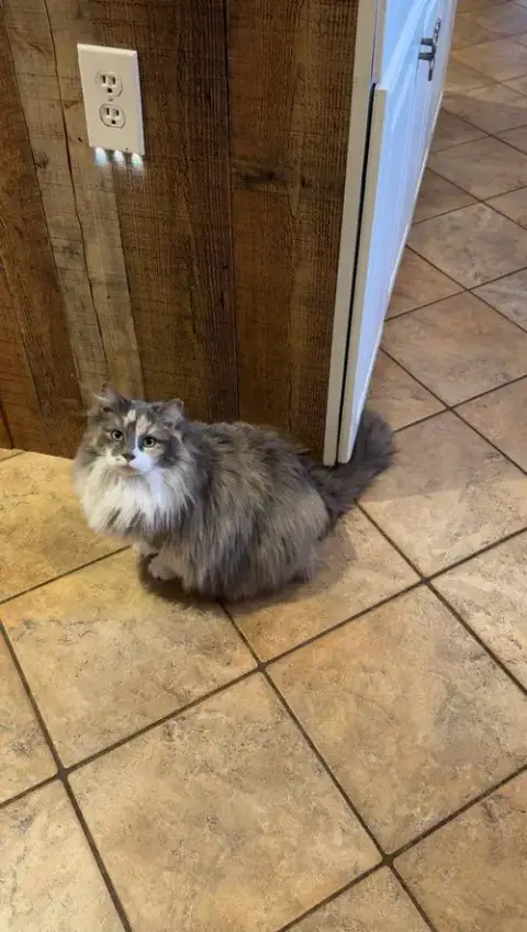 Rhonda
