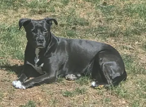Ruby photo 5