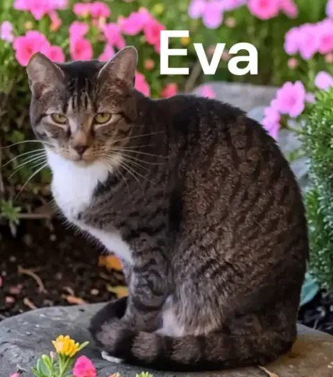 Eva